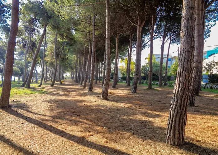 Apartamento Cerrano-2 By Interhome